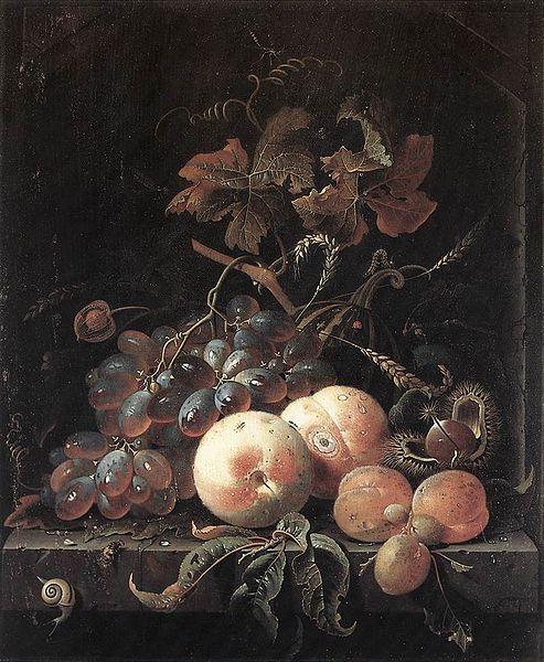 Abraham Mignon Still-Life with Fruits oil painting image
